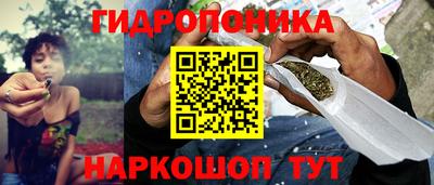 гашик Заволжье