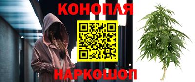 гашик Заволжье