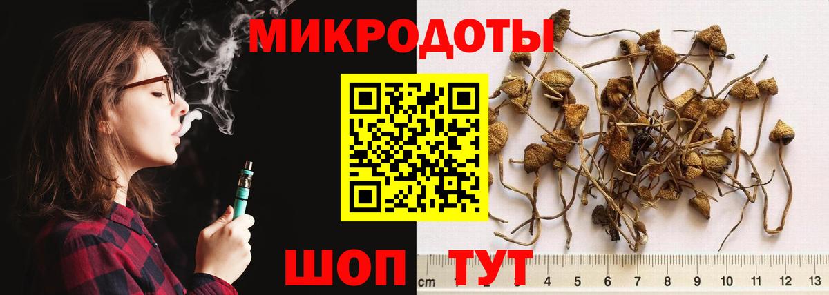 Луга  Псилоцибиновые грибы мухоморы  Вход с VPN 
